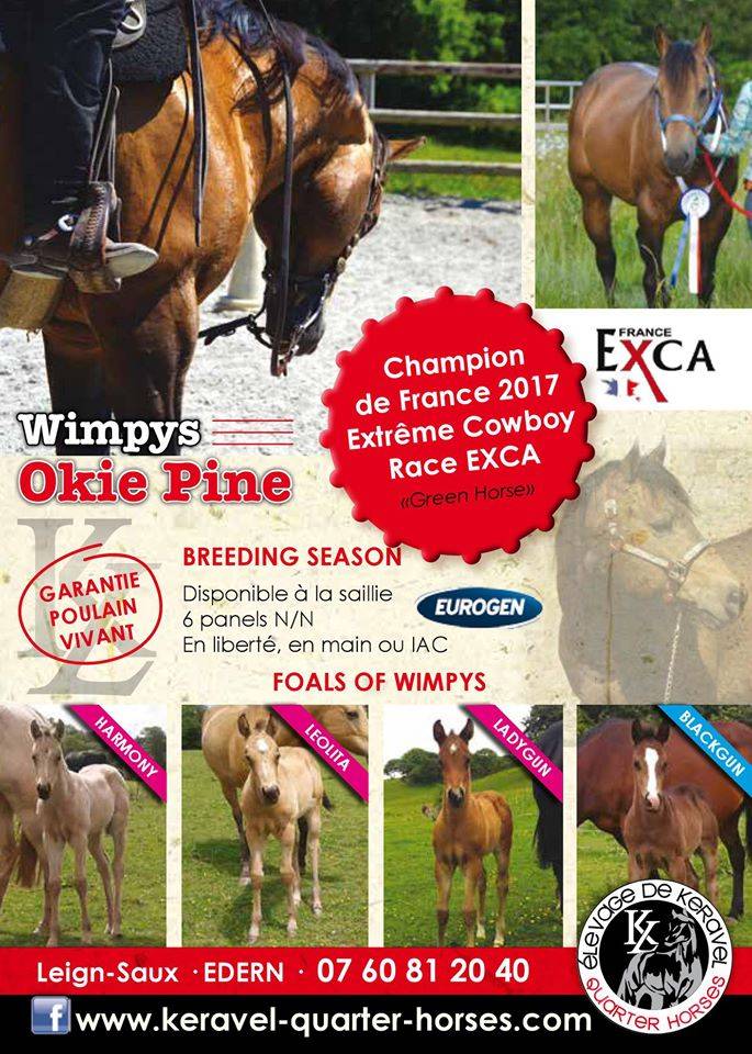 WIMPYS OKIE PINE - Quarter Horse 2007 por Wimpys little Step