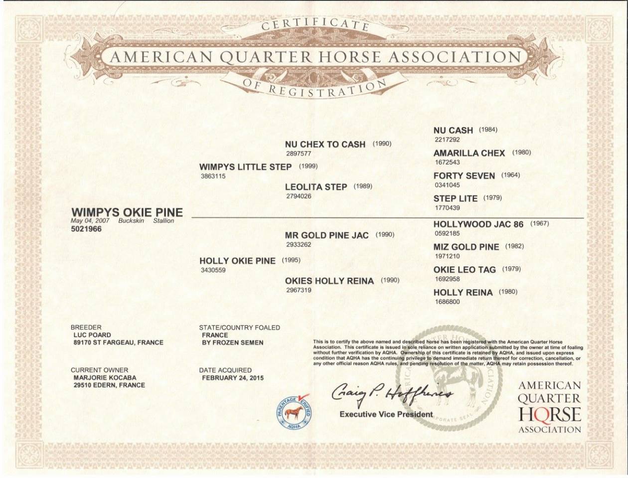 WIMPYS OKIE PINE - Quarter Horse 2007 por Wimpys little Step