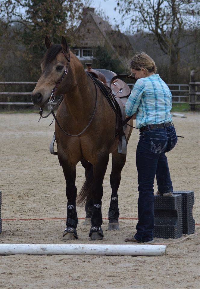 WIMPYS OKIE PINE - Quarter Horse 2007 por Wimpys little Step