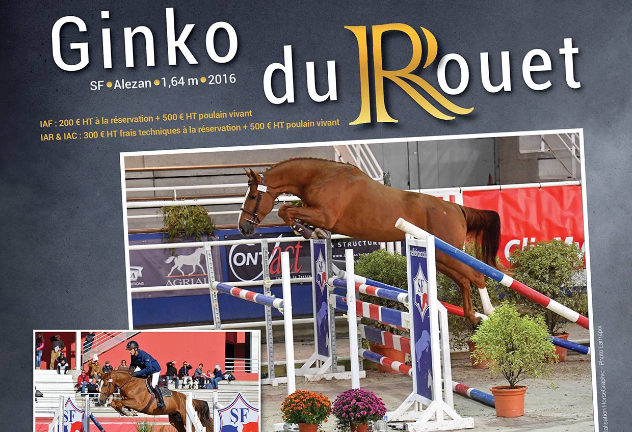 GINKO DU ROUET - Silla Francés 2016 por VAGABOND DE LA POMME sbs