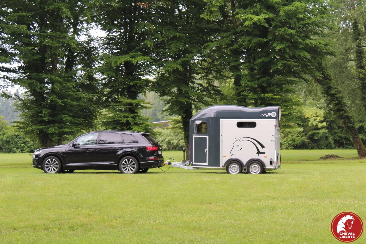 Van caballos Cheval Liberté Gold 3 2 Caballos 2024 Nuevo