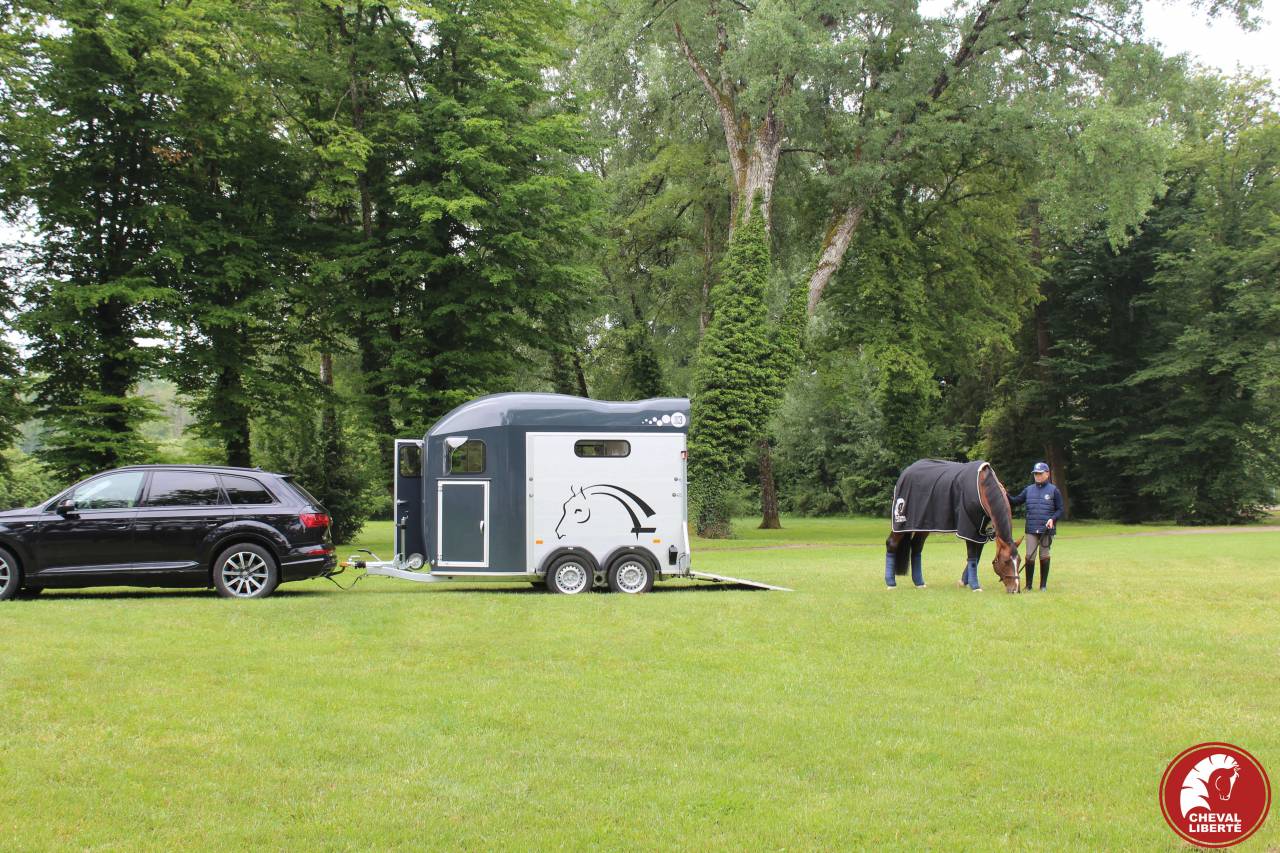 Van caballos Cheval Liberté Gold 3 2 Caballos 2024 Nuevo