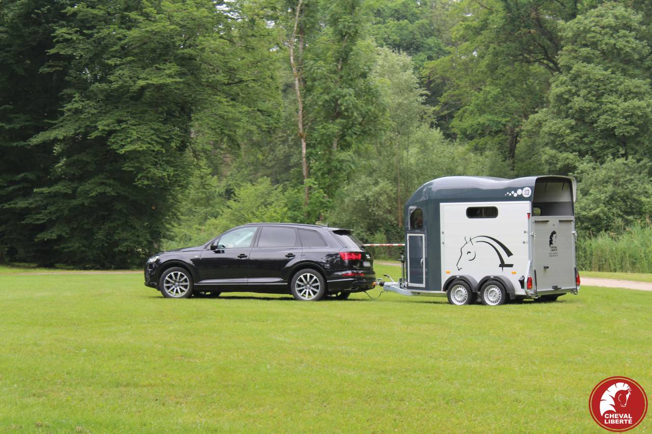Van caballos Cheval Liberté Gold 3 2 Caballos 2024 Nuevo