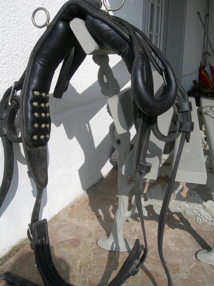 Coche enganches - Calesa   