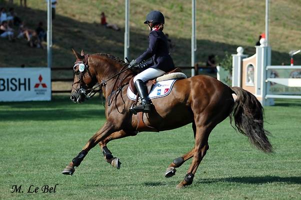 IMPERIAL DU BLIN  - Connemara 1996 por QUETZAL DU BLIN