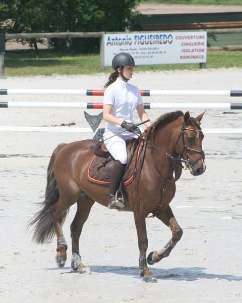 IMPERIAL DU BLIN  - Connemara 1996 por QUETZAL DU BLIN