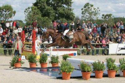 IMPERIAL DU BLIN  - Connemara 1996 por QUETZAL DU BLIN