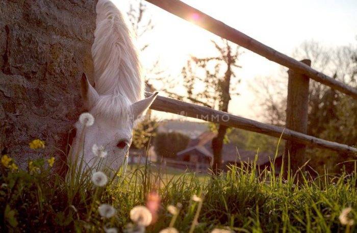 Propiedad ecuestre En venta Gard