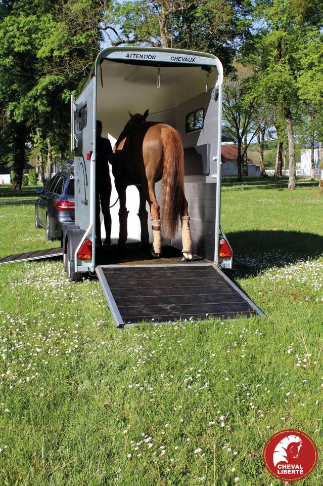 Van caballos Cheval Liberté Touring one 1,5 Caballos 2024 Nuevo