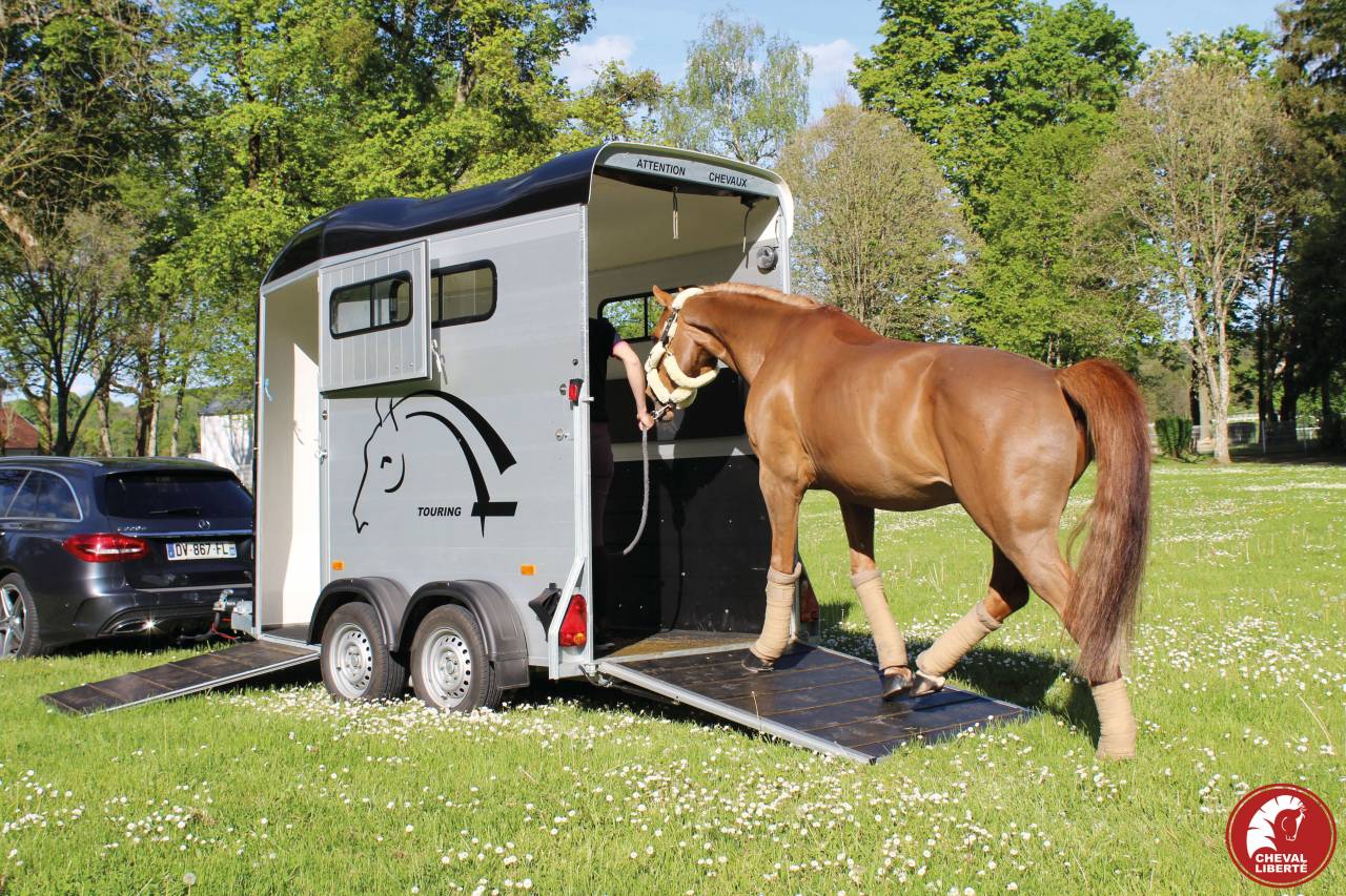 Van caballos Cheval Liberté Touring one 1,5 Caballos 2024 Nuevo