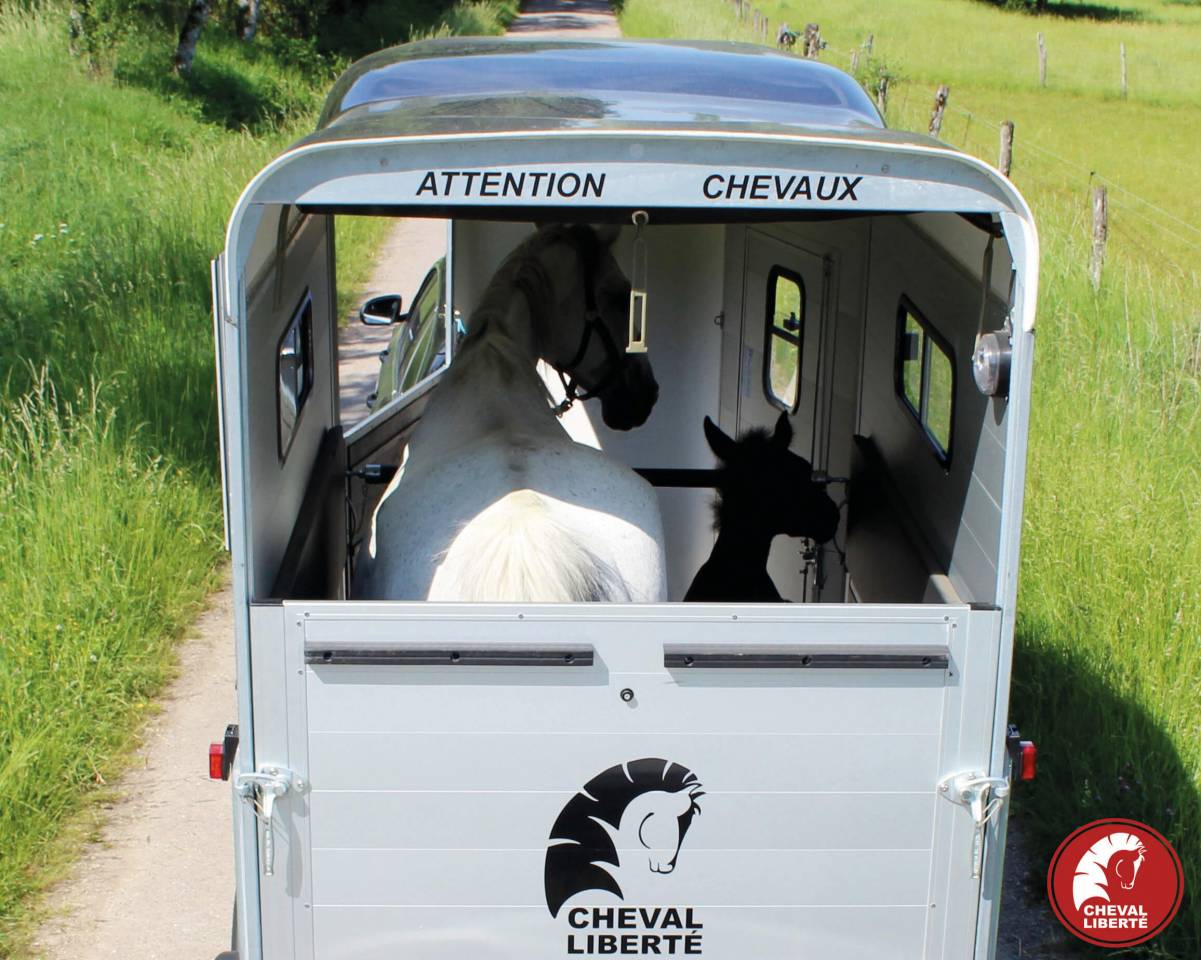 Van caballos Cheval Liberté Touring one 1,5 Caballos 2024 Nuevo