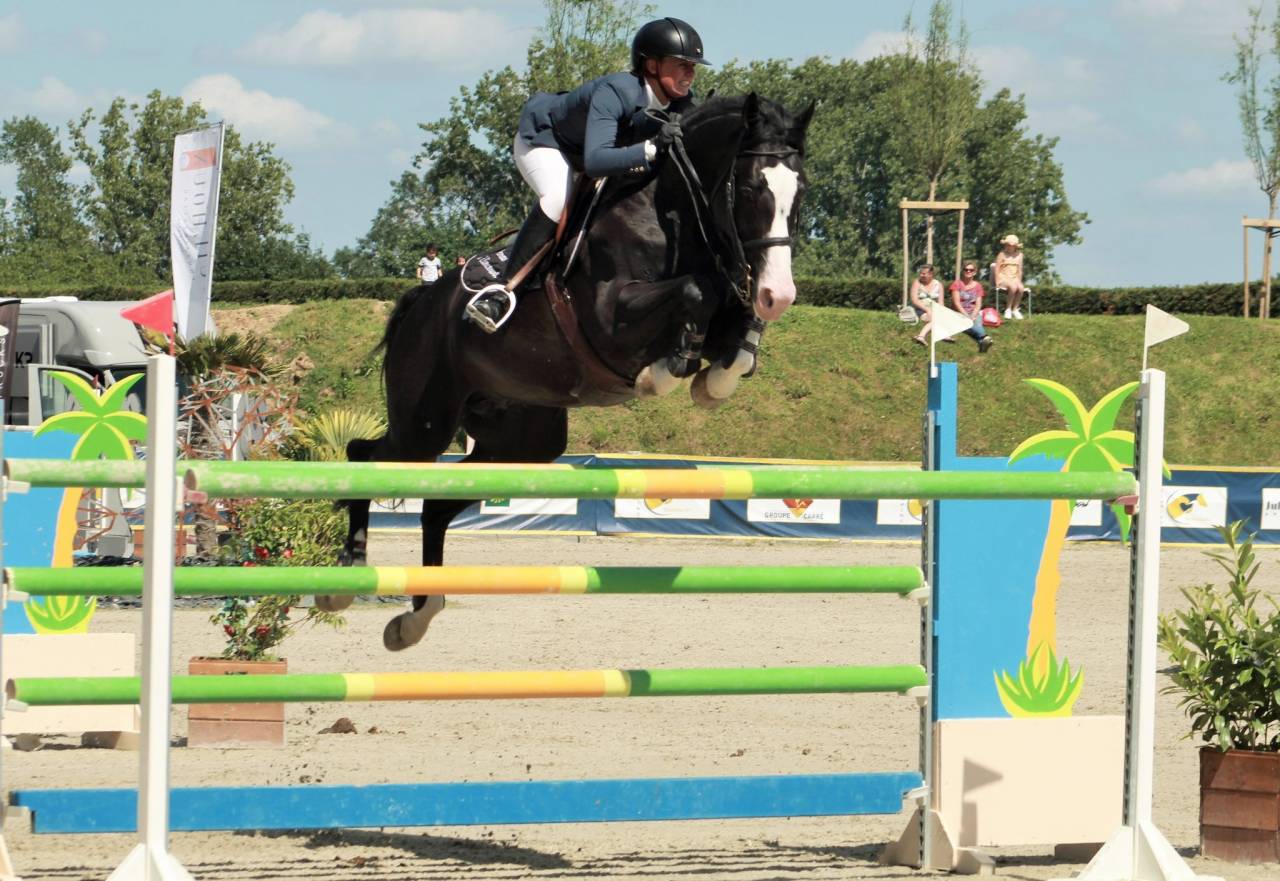 AMBRE D'ELINCOURT - Silla Franc&eacute;s 2010 por JOERIS