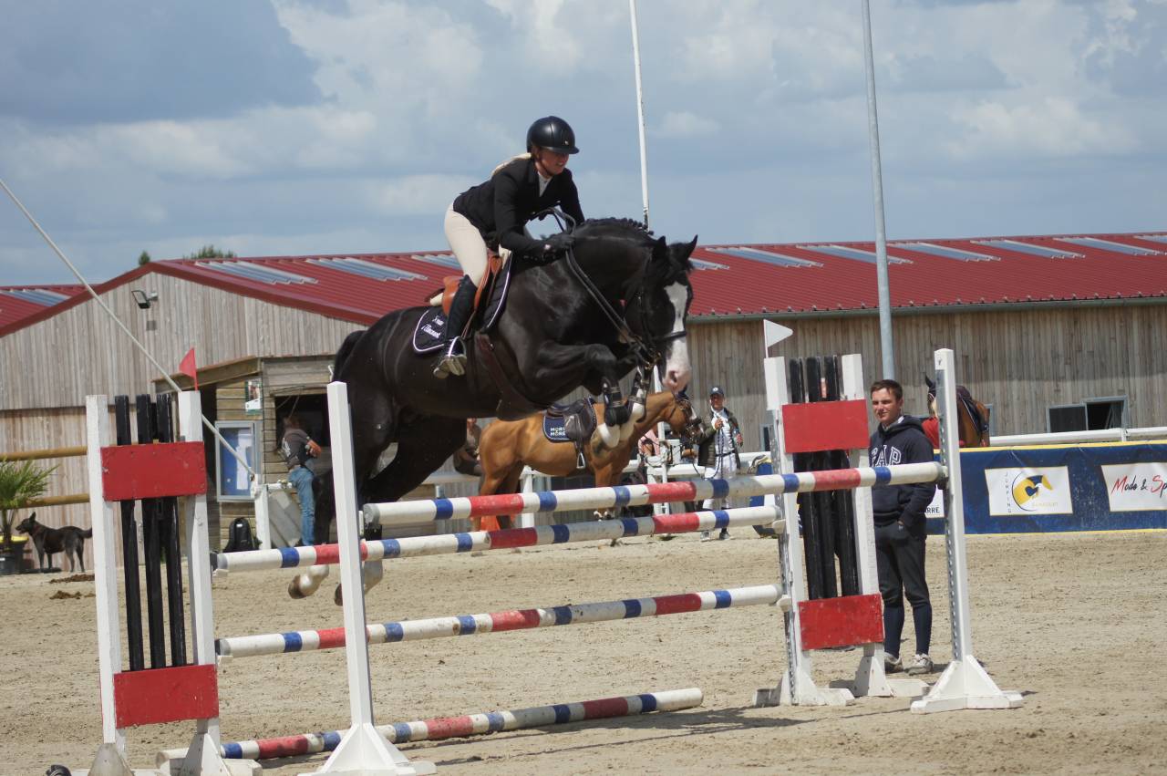 AMBRE D'ELINCOURT - Silla Franc&eacute;s 2010 por JOERIS