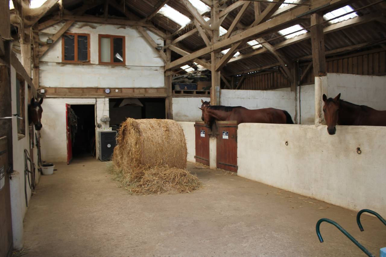 Propiedad ecuestre En venta Sarthe