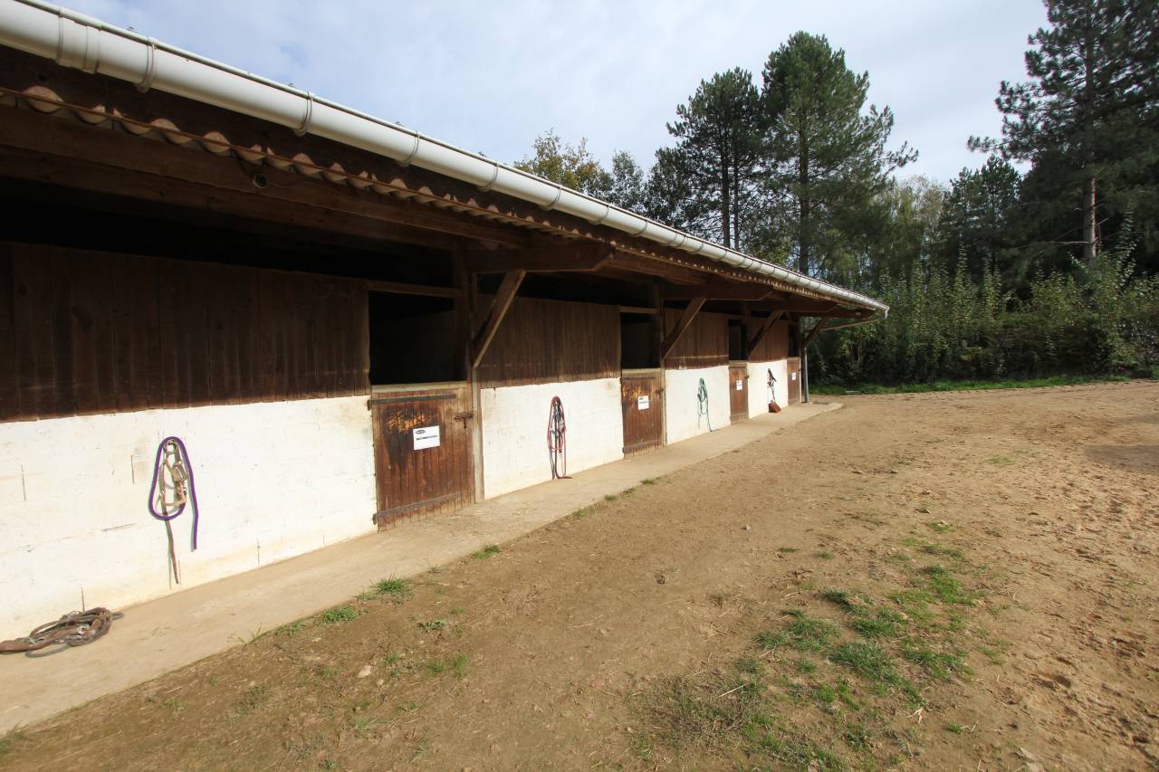 Propiedad ecuestre En venta Sarthe