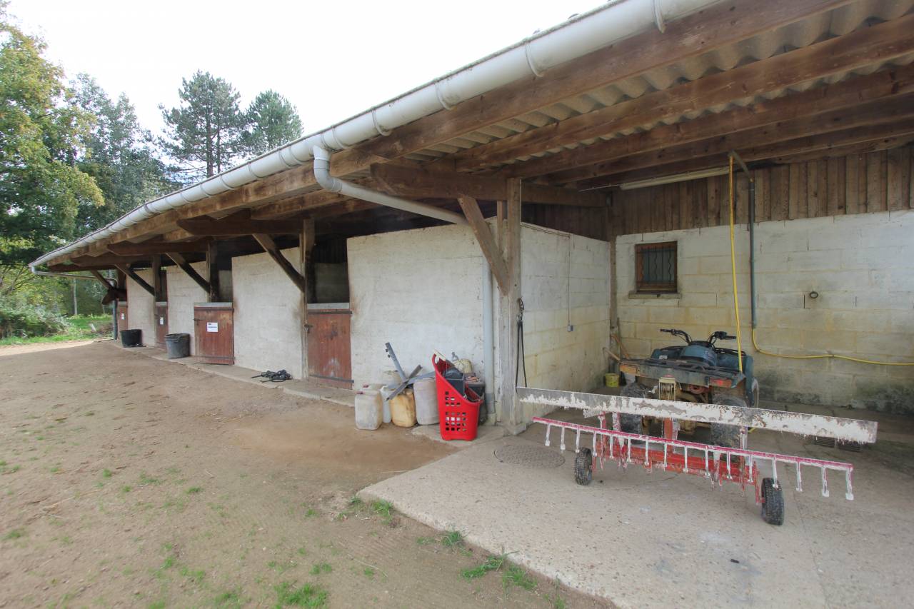 Propiedad ecuestre En venta Sarthe