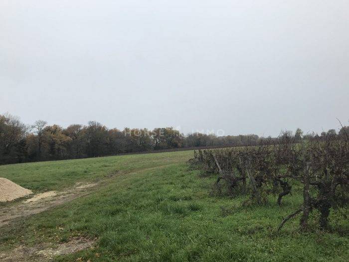 Bonita residencia ecuestre En venta Dordoña