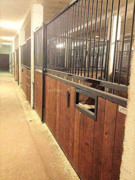 Centro ecuestre En venta Allier