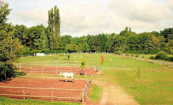 Centro ecuestre En venta Allier