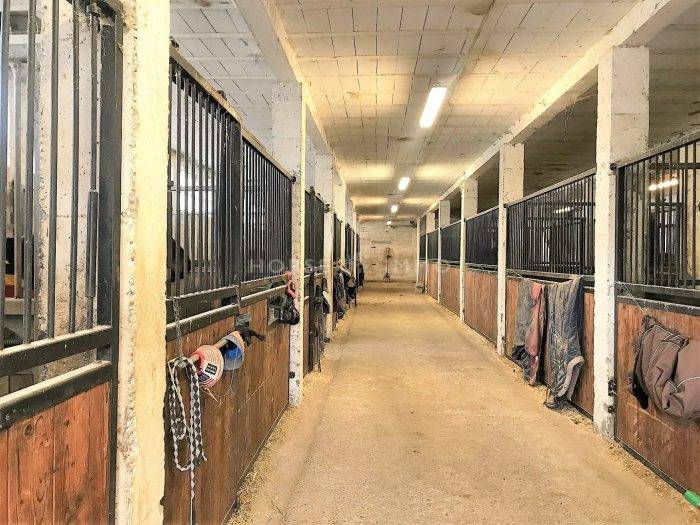 Centro ecuestre En venta Allier