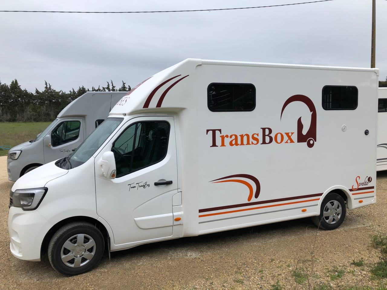 Furgoneta para caballos Trans Box SVELTO 3S 2024 Nuevo