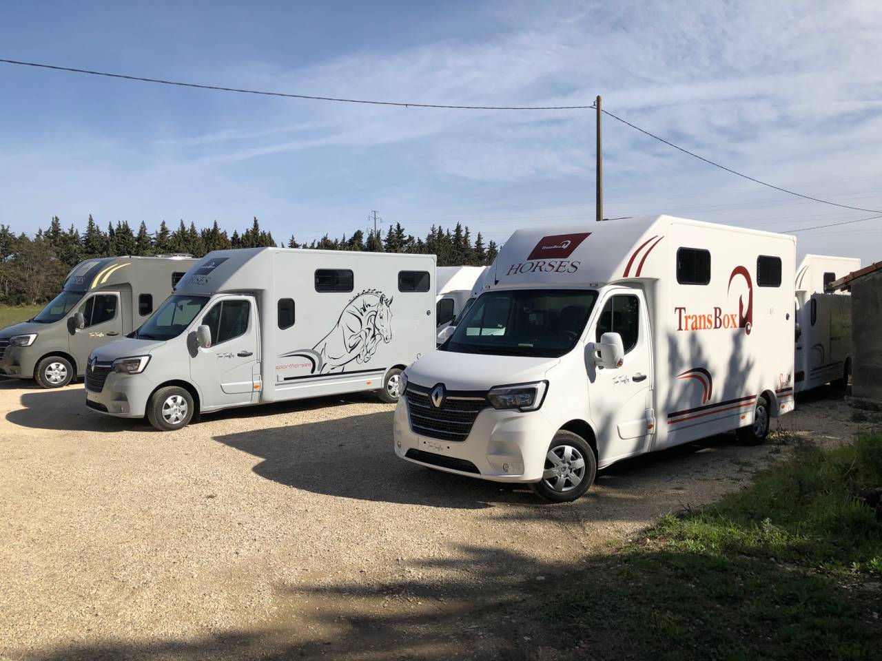 Furgoneta para caballos Trans Box SVELTO 3S 2024 Nuevo