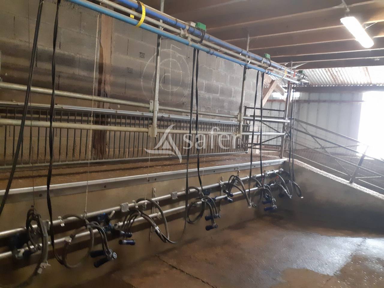 Explotación agrícola En venta Sarthe