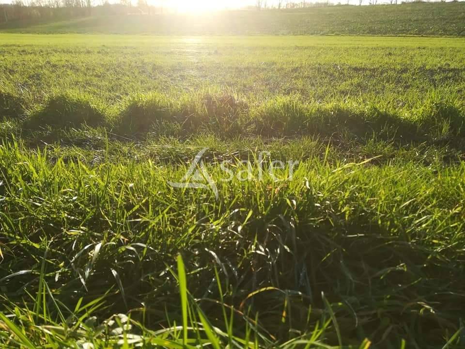 Explotación agrícola En venta Sarthe