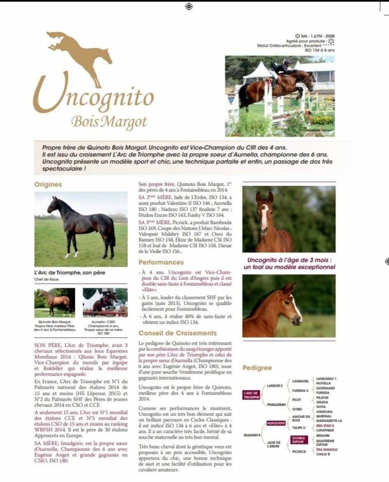 Uncognito bois margot  - Silla Francés 2008 por l'arc de triomphe