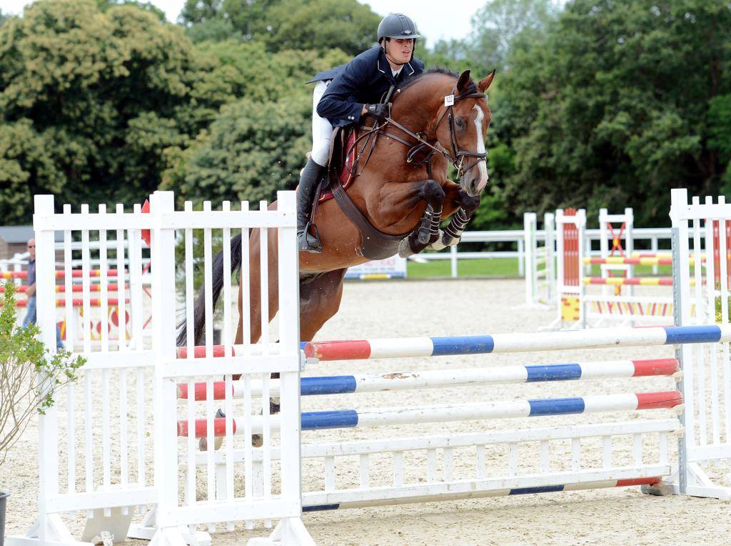 Uncognito bois margot  - Silla Francés 2008 por l'arc de triomphe