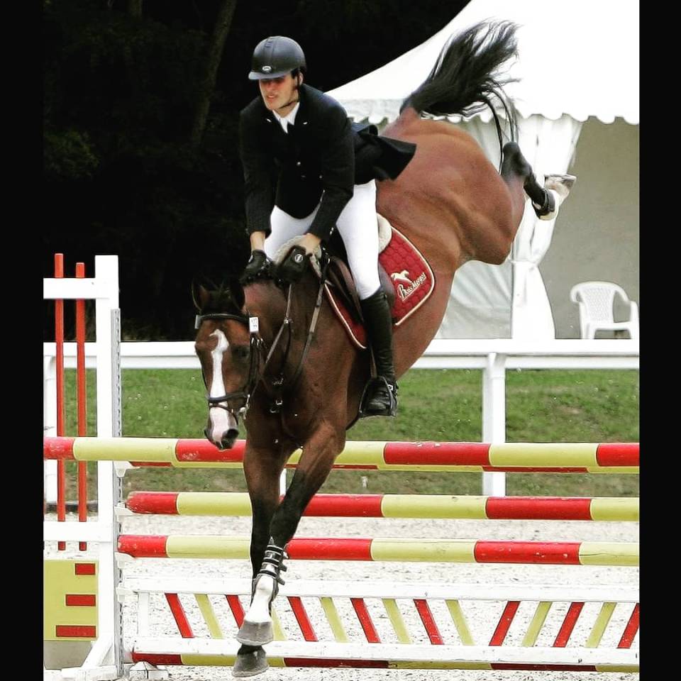 Uncognito bois margot  - Silla Francés 2008 por l'arc de triomphe