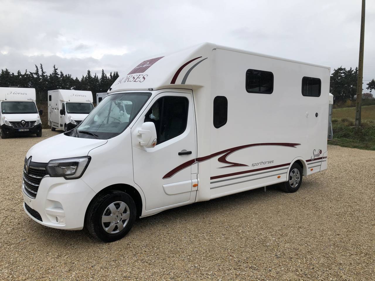 Furgoneta para caballos Trans Box SVELTO 5 S 2024 Nuevo