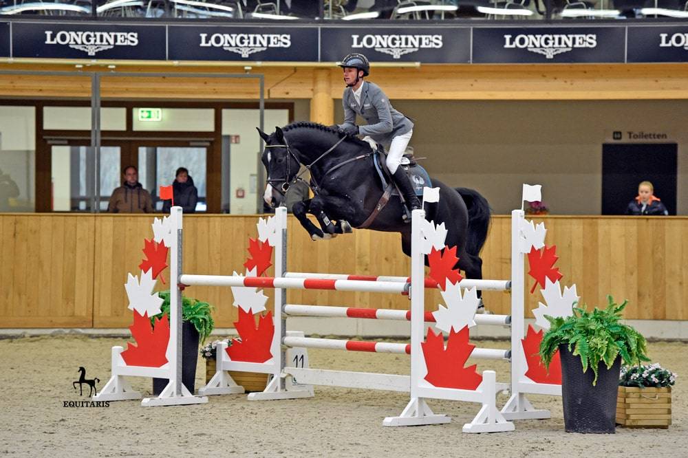 Chubakko - Holsteiner 2013 por connor