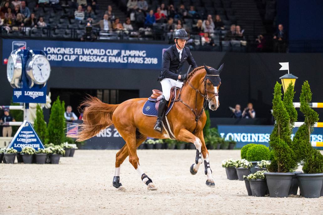 Emerald - BWP Caballo de Sangre Belga 2004 por DIAMANT DE SEMILLY