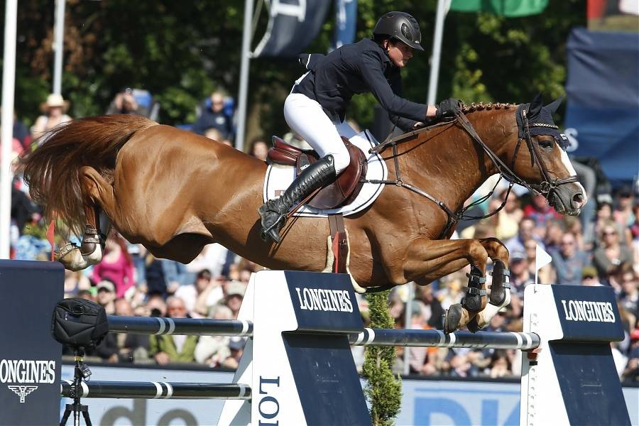 Firth of Lorne - Hannoveriano 2004 por FOR PLEASURE