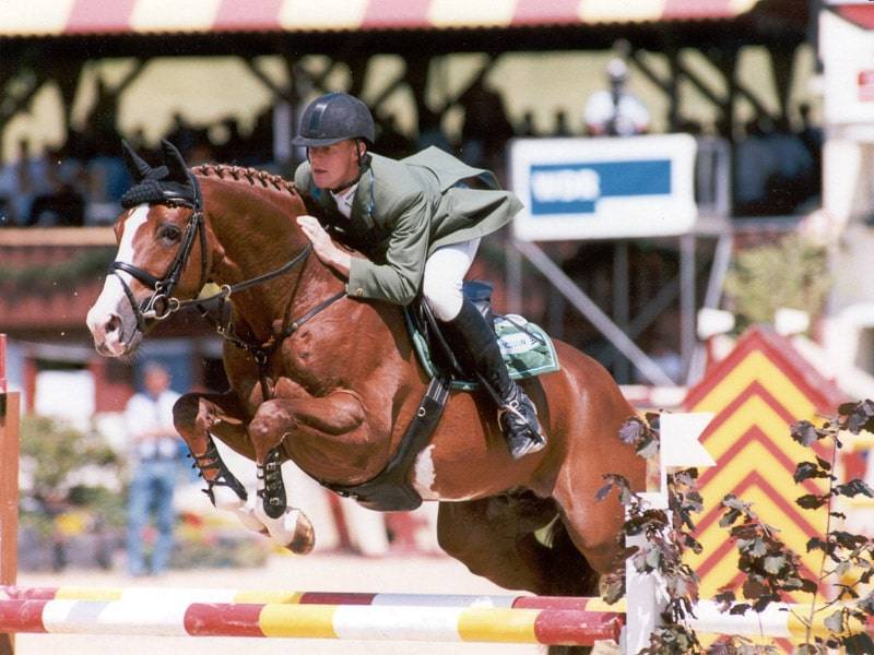 For Pleasure - Hannoveriano 1986 por Furioso II