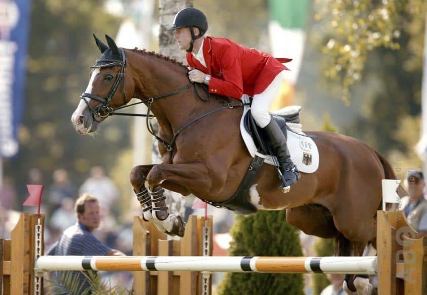 For Pleasure - Hannoveriano 1986 por Furioso II