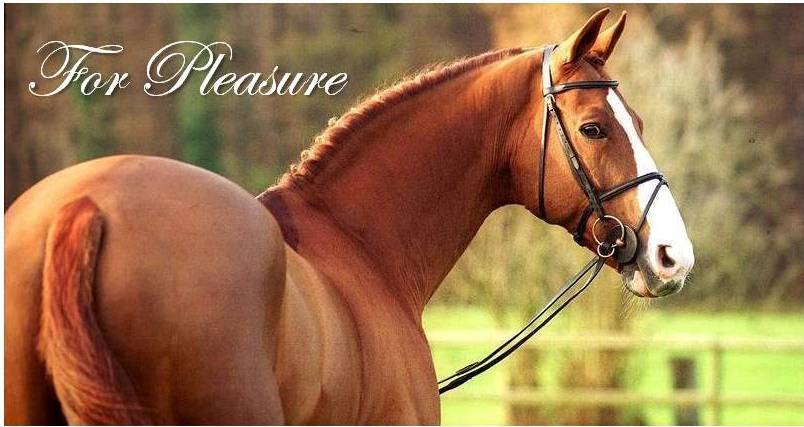 For Pleasure - Hannoveriano 1986 por Furioso II