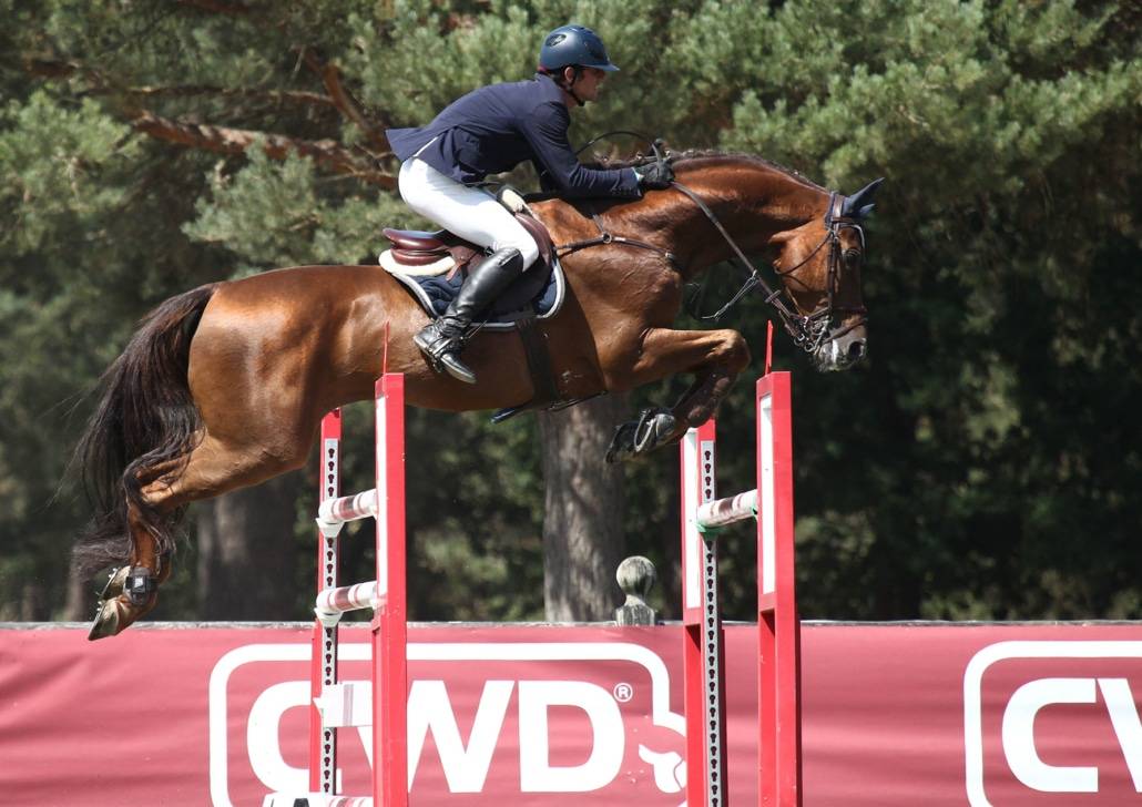 Gastronom de Hus - Zangersheide 1999 por Carthago Z