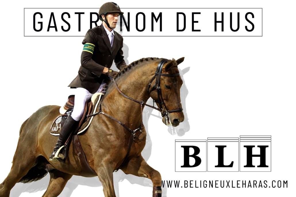 Gastronom de Hus - Zangersheide 1999 por Carthago Z