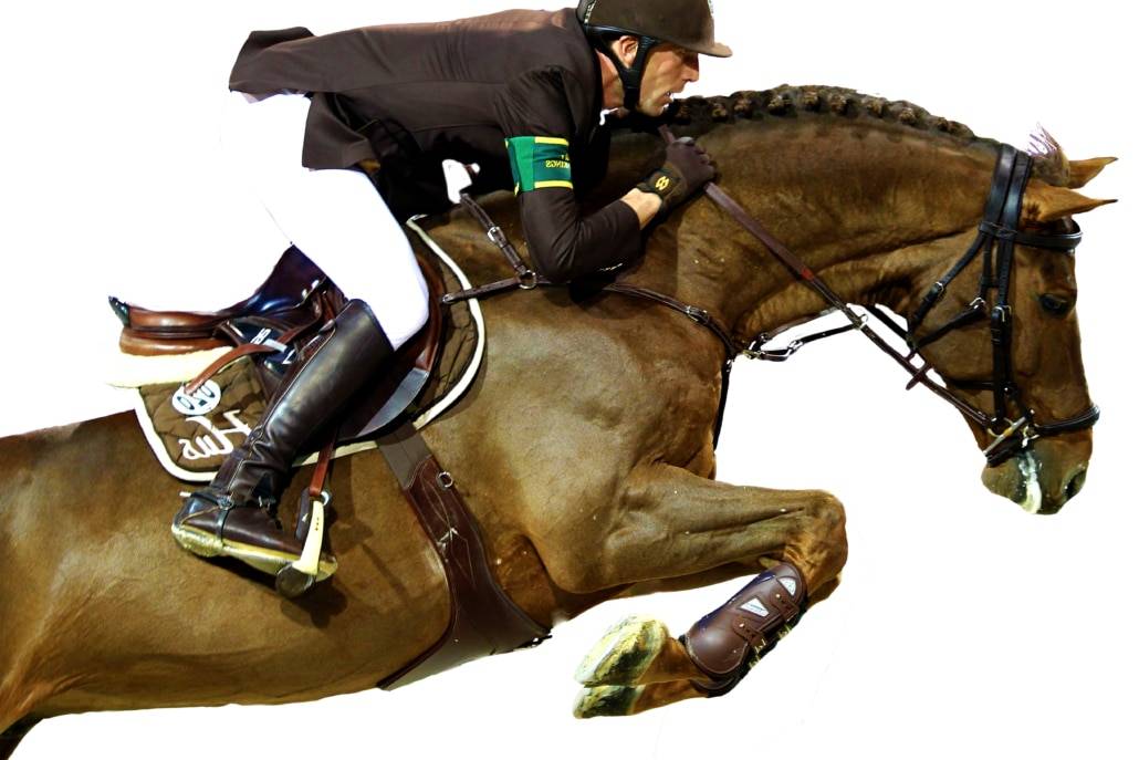 Gastronom de Hus - Zangersheide 1999 por Carthago Z