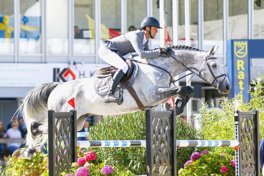 Mumbai - BWP Caballo de Sangre Belga 2012 por DIAMANT DE SEMILLY
