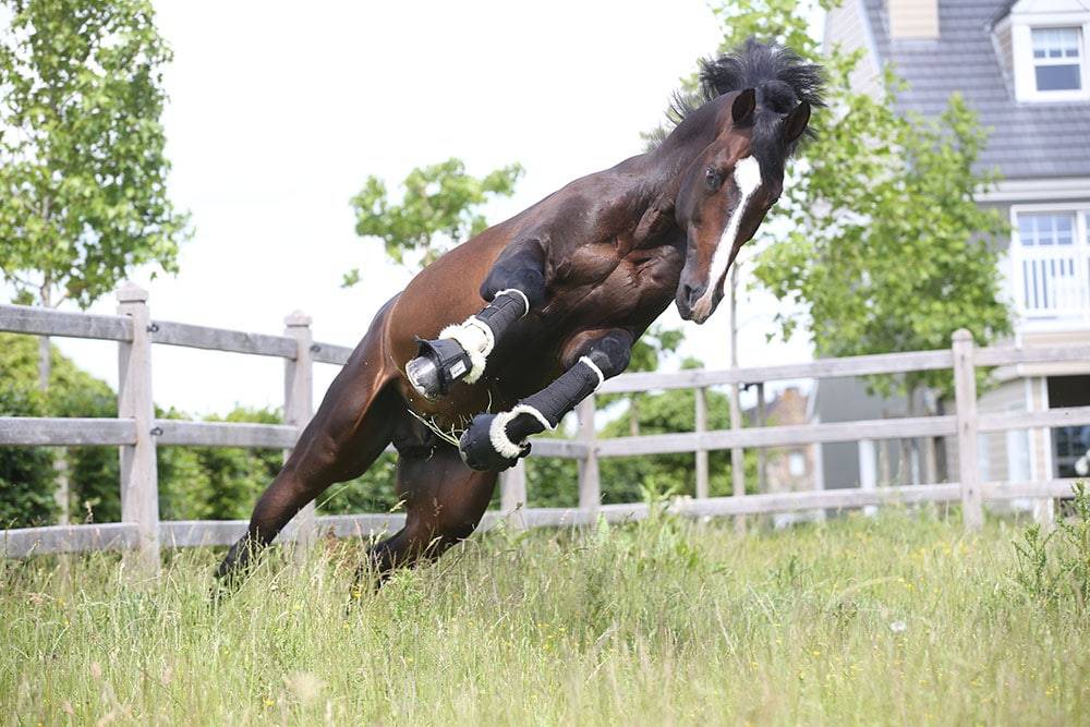 Quel Homme de Hus - Silla Francés 2006 por QUIDAM DE REVEL