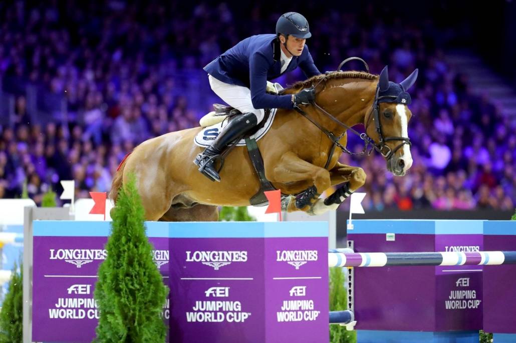 Tobago Z - Zangersheide 2008