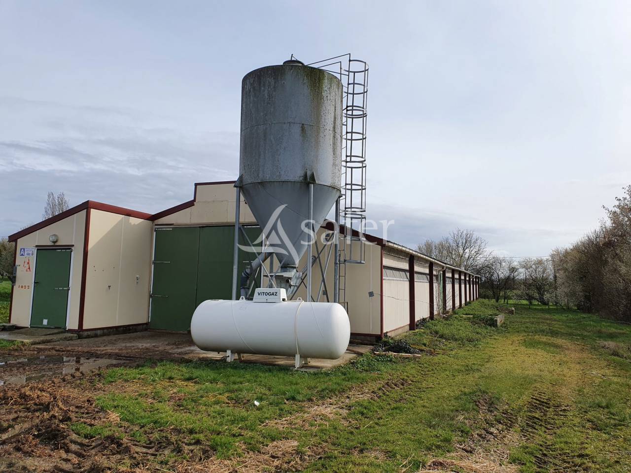 Explotación avícola En venta Sarthe