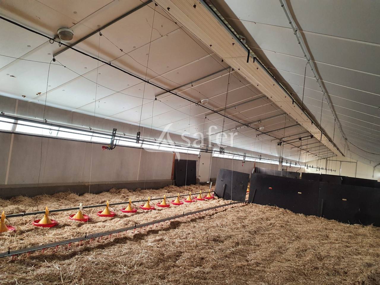 Explotación avícola En venta Sarthe