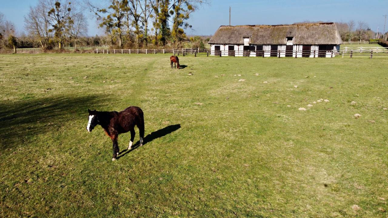 Acaballadero En venta Calvados