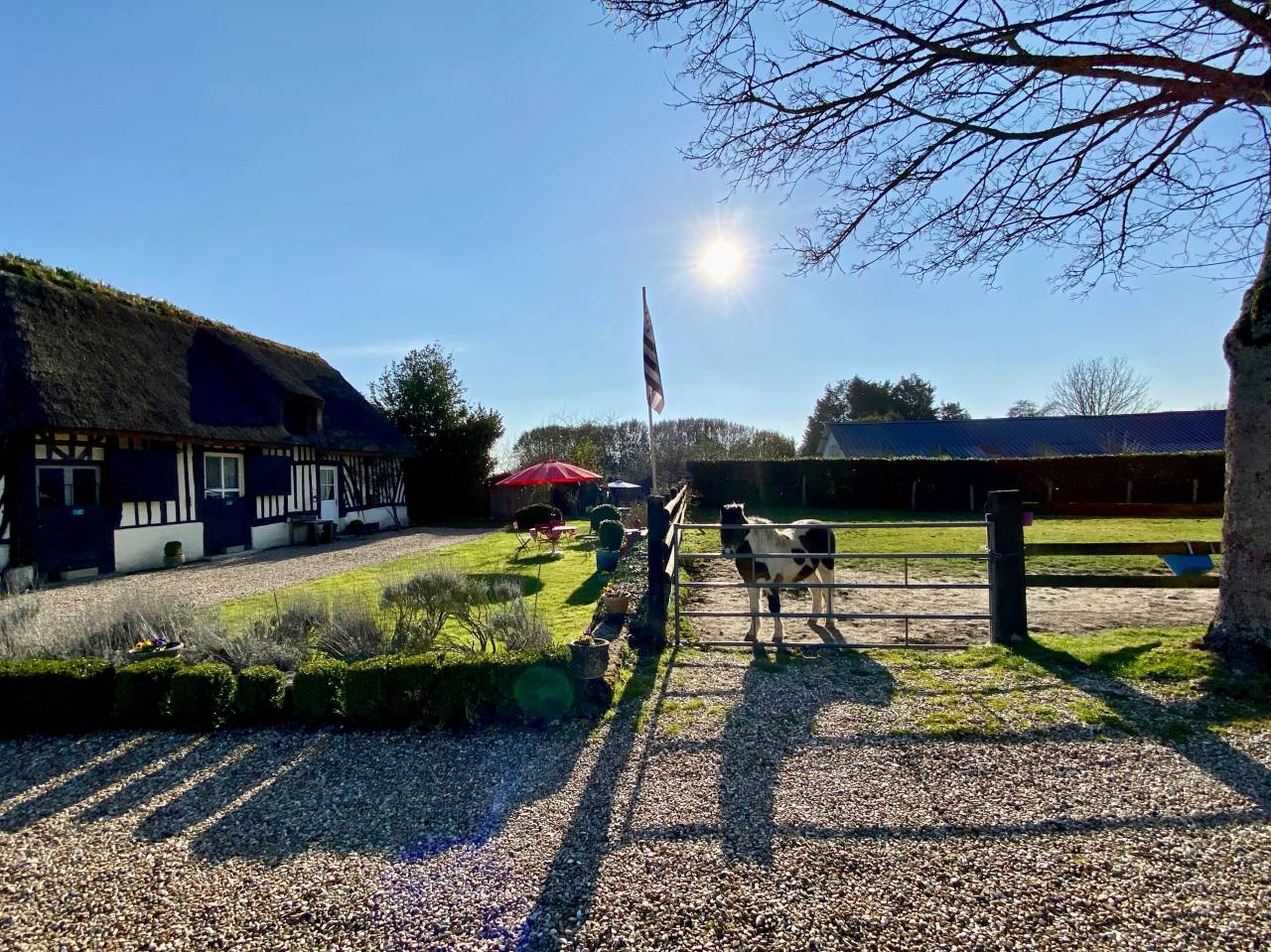 Acaballadero En venta Calvados