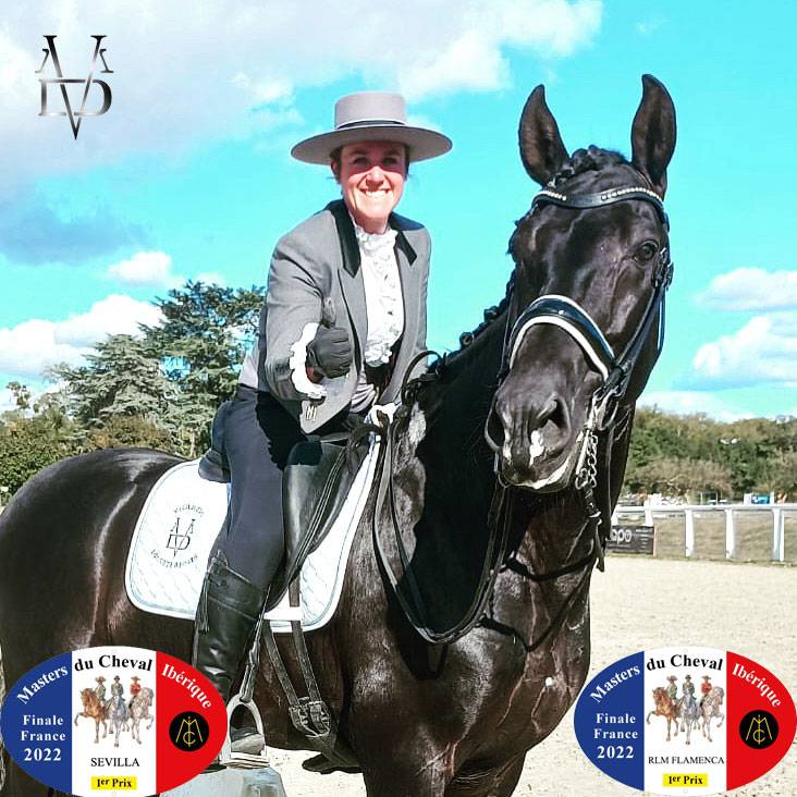 Barquero JF IV - PRE Pura Raza Española 2014 por ESCOGIDO J F