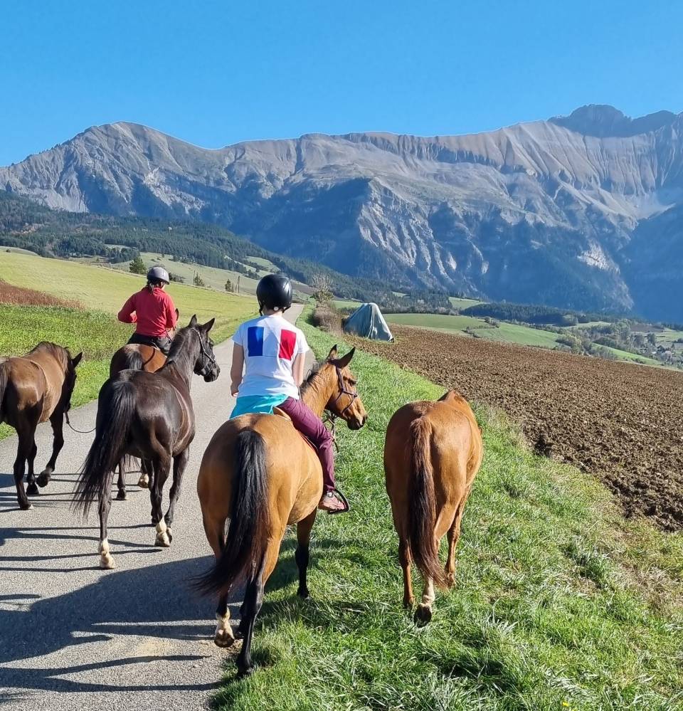 Yegua Akhal Teke En venta 2019 Bayo por Kemput AT